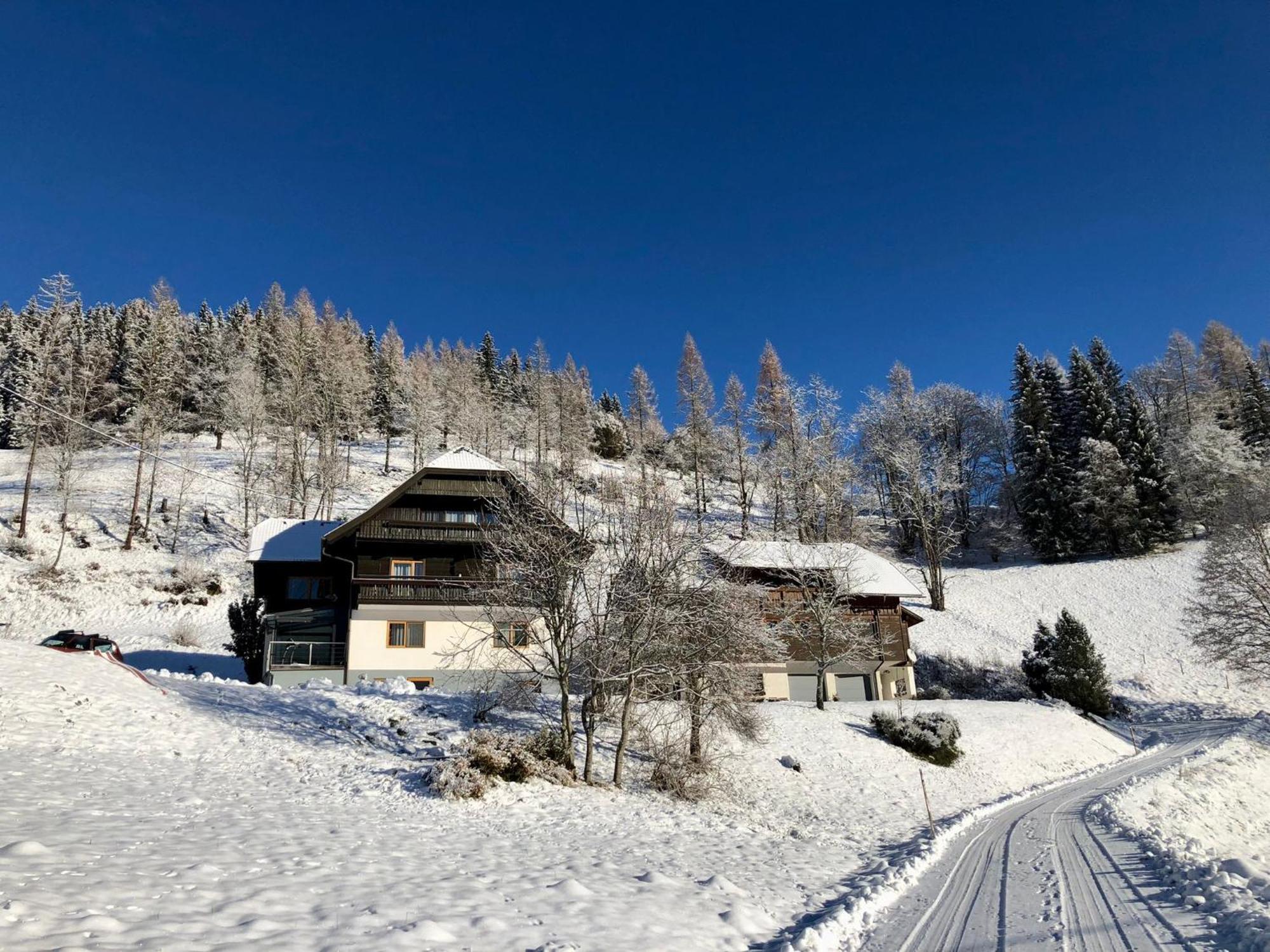 Appartement Vidmar-Ferienglueck Arriach ภายนอก รูปภาพ